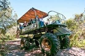Gatorland — imagem 1 do acervo