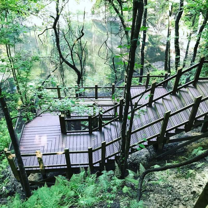 GEOLOGY OF DEVIL's MILLHOPPER/Hidden Miniature Rain Forest — imagem 3 do acervo