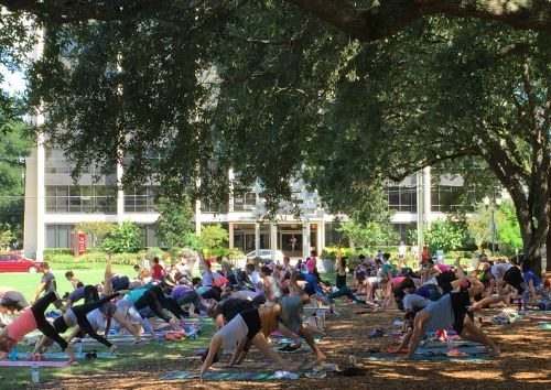 Lake Eola Park — imagem 8 do acervo