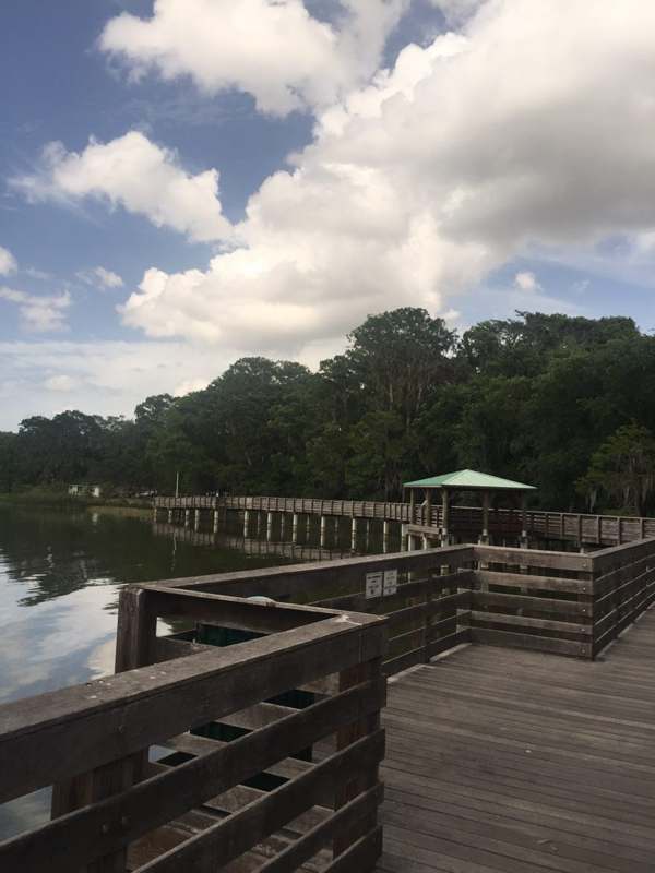 Mount Dora City — imagem 1 do acervo
