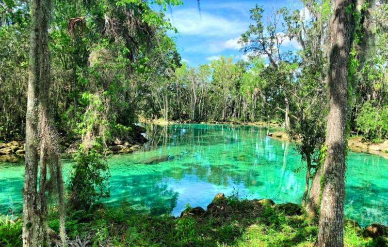 Crystal River — imagem 1 do acervo