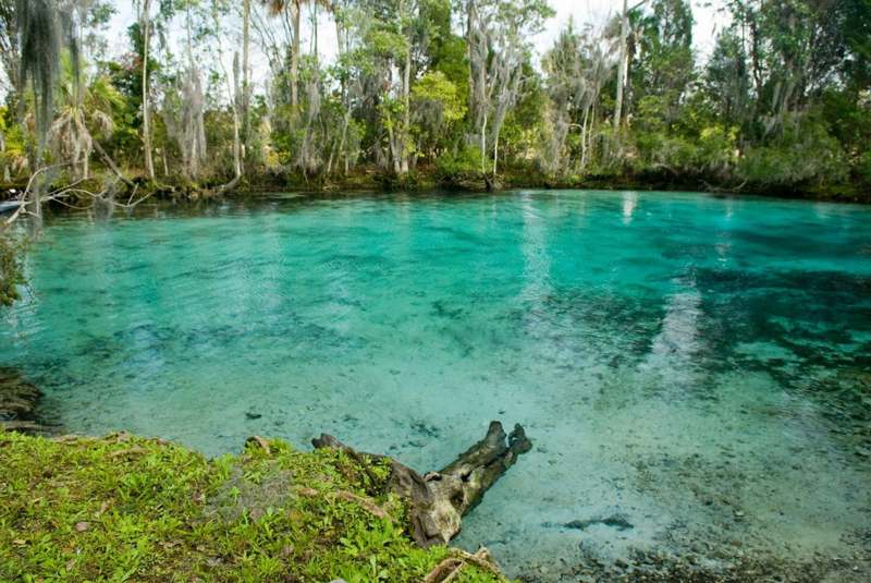 Crystal River — imagem 2 do acervo