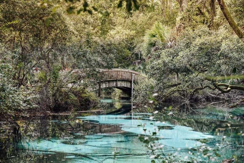 Juniper Springs — imagem 1 do acervo