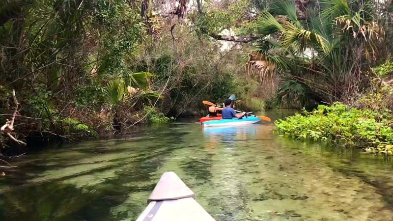 Juniper Springs — imagem 3 do acervo