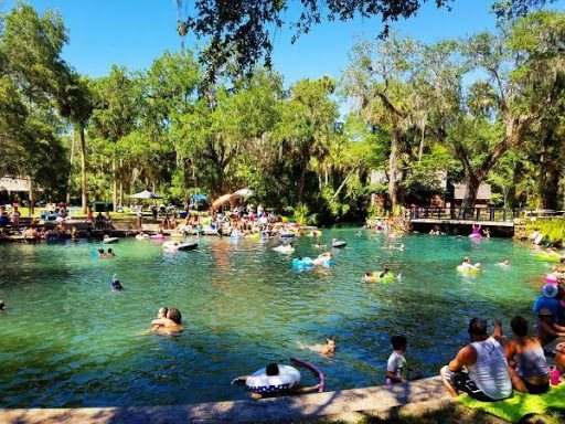 Juniper Springs — imagem 5 do acervo