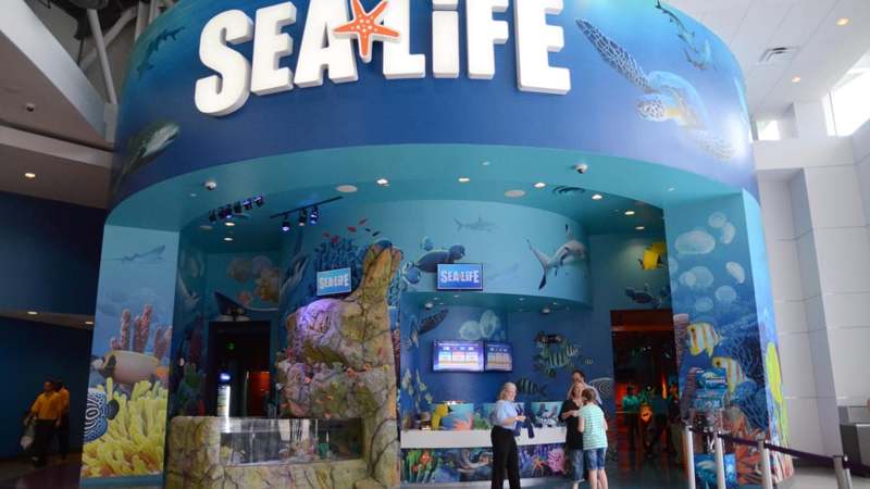 Sea Life Orlando Aquarium