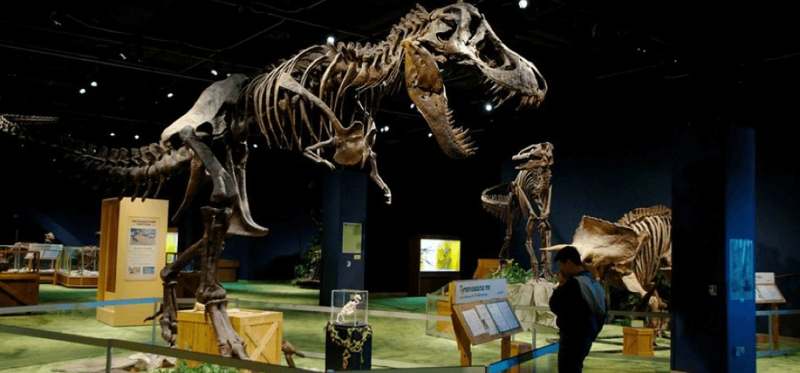 Orlando Science Center — imagem 4 do acervo