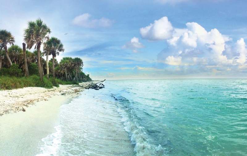 Cayo Costa — imagem 3 do acervo