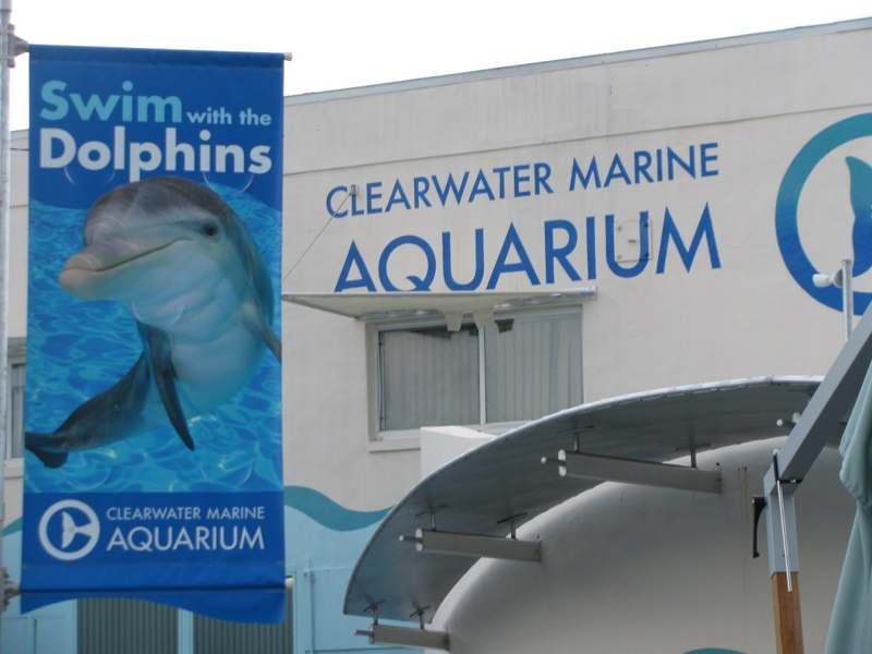 Clearwater Aquarium