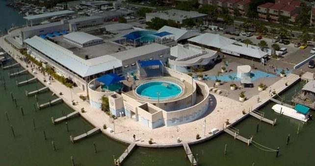 Clearwater Aquarium — imagem 2 do acervo