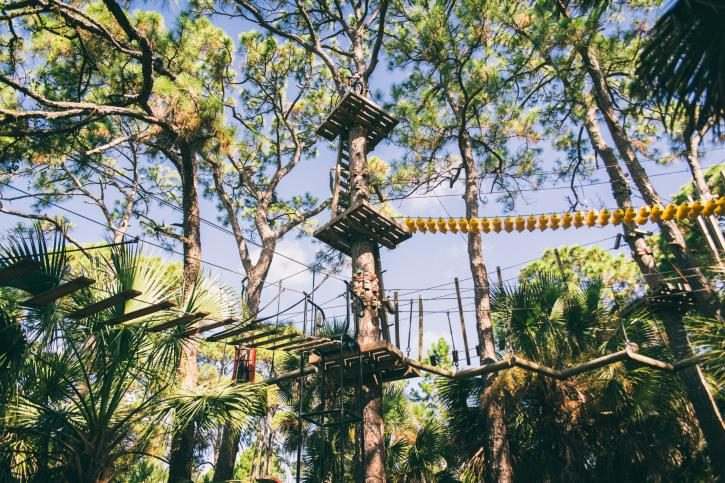 Treetop Trek Aerial Adventures