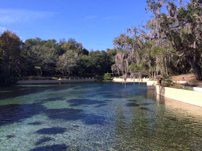 Salt Springs
