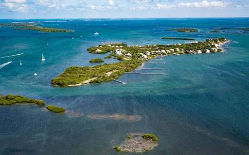 Pine island, Florida — imagem 2 do acervo