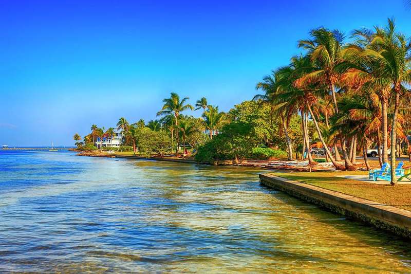 Pine island, Florida — imagem 3 do acervo