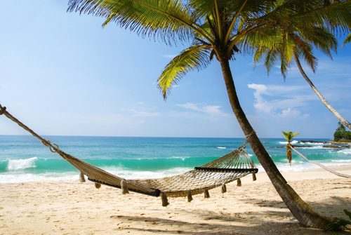 Pine island, Florida