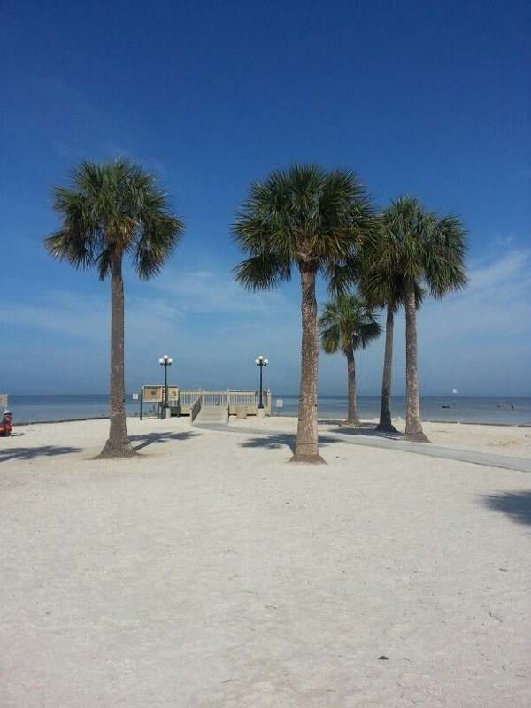 Pine island, Florida — imagem 4 do acervo