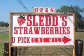 Sledd's U-Pick Farm / U-Pick Strawberry Farm — imagem 2 do acervo