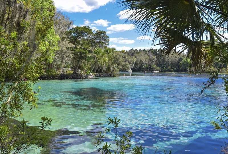 Silver Glen Spring — imagem 2 do acervo