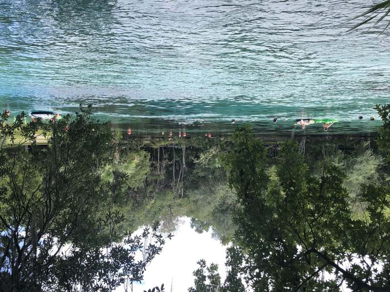 Silver Glen Spring — imagem 3 do acervo
