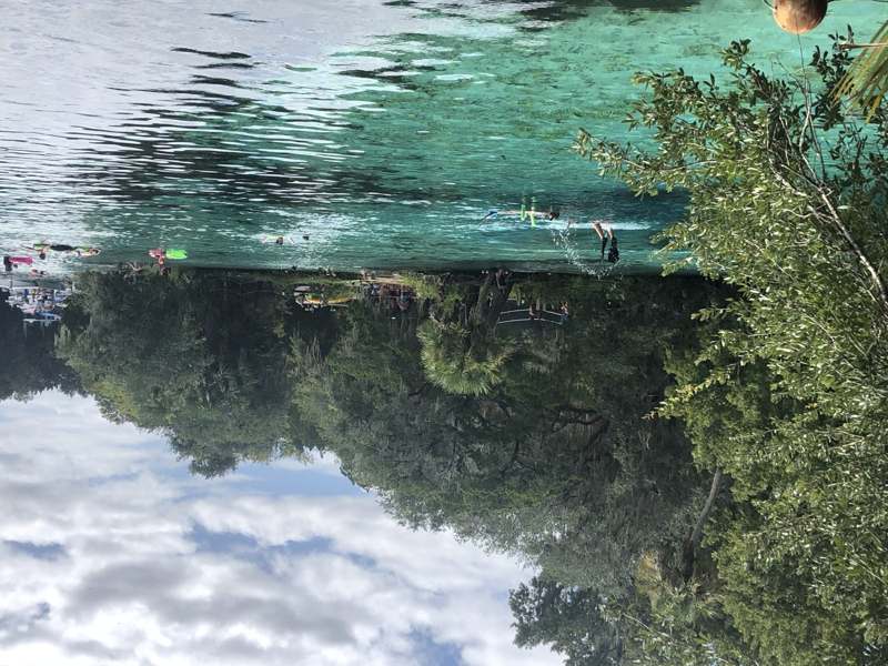 Silver Glen Spring — imagem 4 do acervo