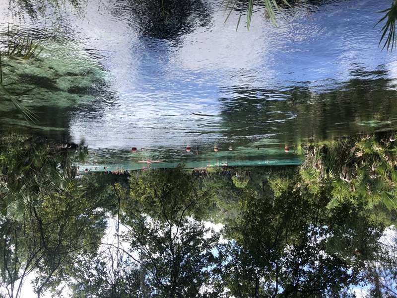 Silver Glen Spring — imagem 5 do acervo