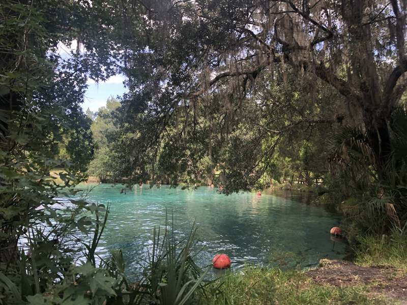 Silver Glen Spring — imagem 6 do acervo