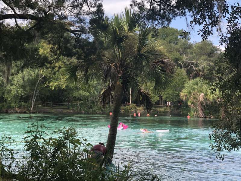 Silver Glen Spring — imagem 7 do acervo
