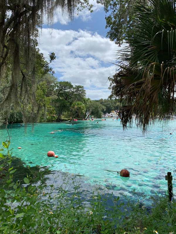 Silver Glen Spring — imagem 8 do acervo