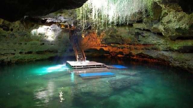 Interior da caverna da Devil's Den: água verde-azulada e transparente, uma escada de madeira descendo da abertura no teto até uma plataforma flutuante, com raízes penduradas e luz entrando por cima