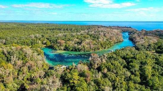 Vista aérea do Silver Glen Springs: a nascente azul-turquesa e o canal correndo entre a mata fechada até o Lake George, que aparece ao fundo sob céu azul