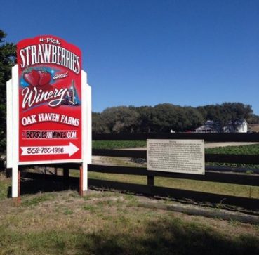 Oak Haven Farms & Winery