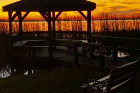 Mount Dora City