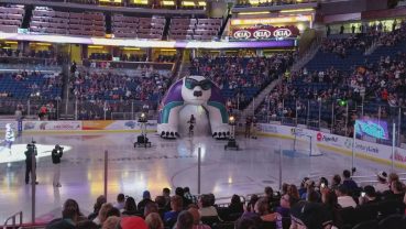 Solar Bears Game – Hockey Game