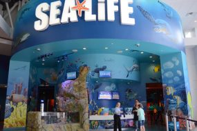 Sea Life Orlando Aquarium